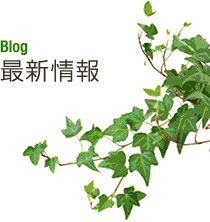 新着情報