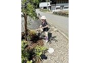 プランの内容がわかりやすく、イメージを掴みやすかったです